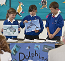 108_First_Schools_Dolphins