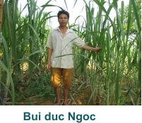 Bui duc Ngoc