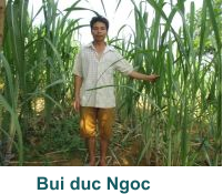 Bui duc Ngoc